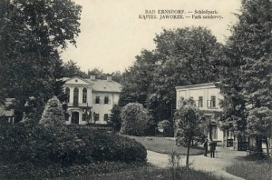 Jaworze park zamkowy - Reprodukcja 20105