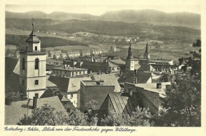 Boguszów Gorce -Reprodukcja 20159