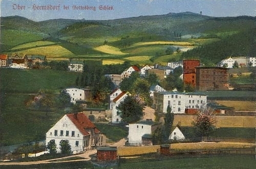 nowe-20212.jpg