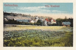 Goleszów Villa Waldfried - Reprodukcja 20301