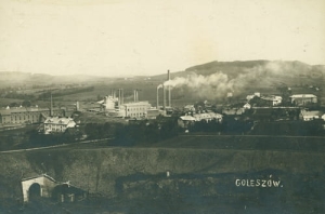 Goleszów panorama - Reprodukcja 20304