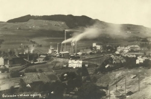 Goleszów panorama - Reprodukcja 20308