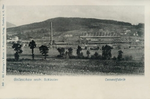 Goleszów cementownia - Reprodukcja 20310