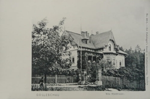 Goleszów Villa Waldfrieden - Reprodukcja 20319
