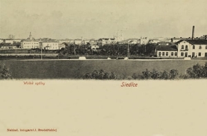 Siedlce panorama - Reprodukcja 20354