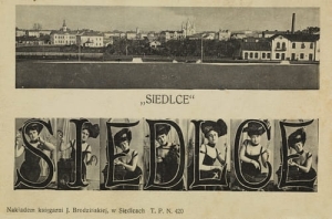 Siedlce panorama - Reprodukcja 20355