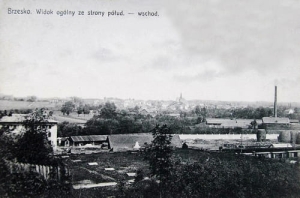 Brzesko panorama - Reprodukcja 20357