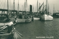 nowe-20396.jpg