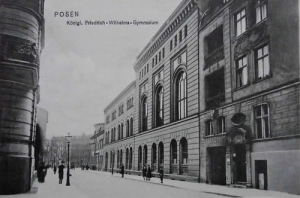 Poznań ul. Strzelecka - Reprodukcja 5403