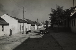 Pińczów - Reprodukcja 1987