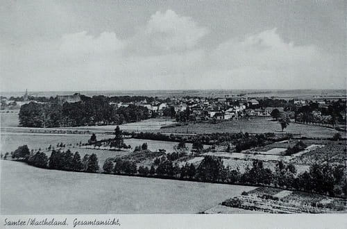 nowe-20468.jpg