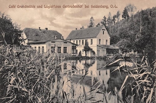 nowe-20549.jpg