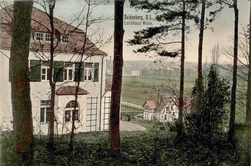 nowe-20620.jpg