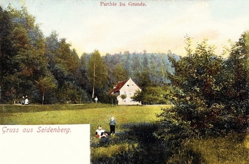 nowe-20625.jpg
