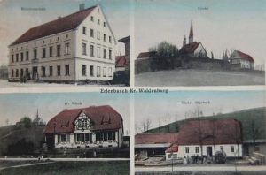 Olszyniec widokowa - Reprodukcja 20642