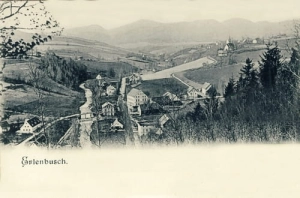 Olszyniec panorama- Reprodukcja 20652