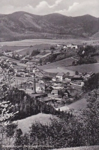 Olszyniec panorama- Reprodukcja 20654