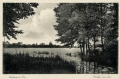 nowe-20673.jpg