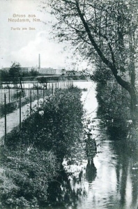 Dębno jezioro - Reprodukcja 20675