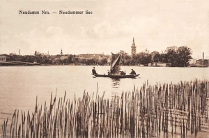 Dębno jezioro - Reprodukcja 20678