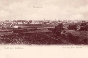 Dębno panorama - Reprodukcja 20689