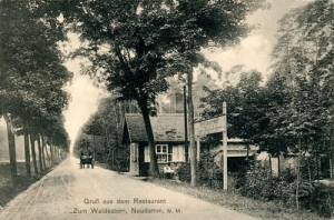 Dębno restauracja - Reprodukcja 20721