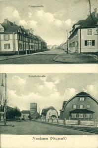 Dębno widokowa - Reprodukcja 20755