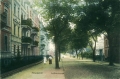 nowe-20780.jpg
