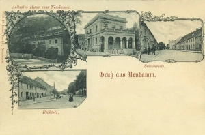 Dębno widokowa - Reprodukcja 20799