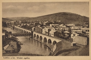 Turka n/S panorama - Reprodukcja 20811