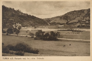 Turka n/S panorama - Reprodukcja 20812