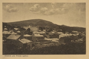 Turka n/S panorama - Reprodukcja 20816