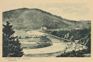 Turka n/S panorama - Reprodukcja 20817