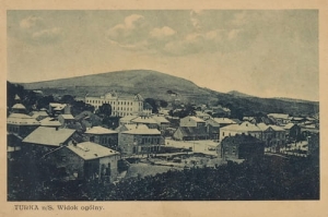 Turka n/S panorama - Reprodukcja 20818