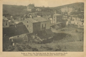 Turka n/S panorama - Reprodukcja 20822