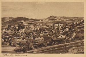 Turka n/S  panorama - Reprodukcja 20824