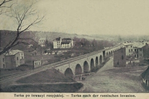 Turka n/S  panorama - Reprodukcja 20825