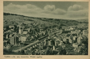 Turka n/S panorama - Reprodukcja 20831