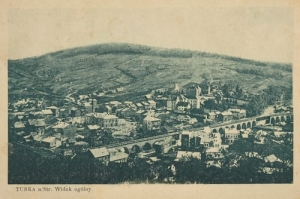 Turka n/S panorama - Reprodukcja 20832