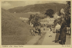 Turka n/S Aleja Focha - Reprodukcja 20837