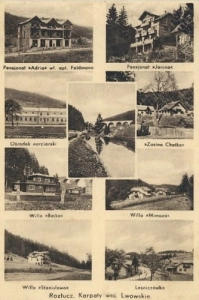 Rozłucz widokowa - Reprodukcja 20844