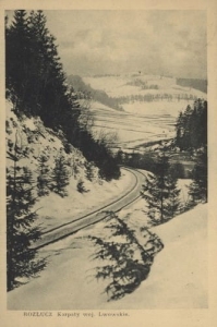 Rozłucz zimą - Reprodukcja 20846