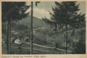 Rozłucz panorama - Reprodukcja 20847