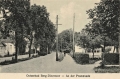 nowe-20934.jpg