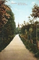 nowe-20946.jpg