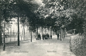 Dziwnów Aleja portowa - Reprodukcja 20980