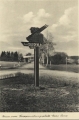nowe-14951.jpg