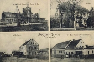 Rogoźnik widokowa - Reprodukcja 21088