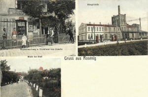 Rogoźnik widokowa - Reprodukcja 21090