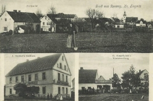 Rogoźnik widokowa - Reprodukcja 21091